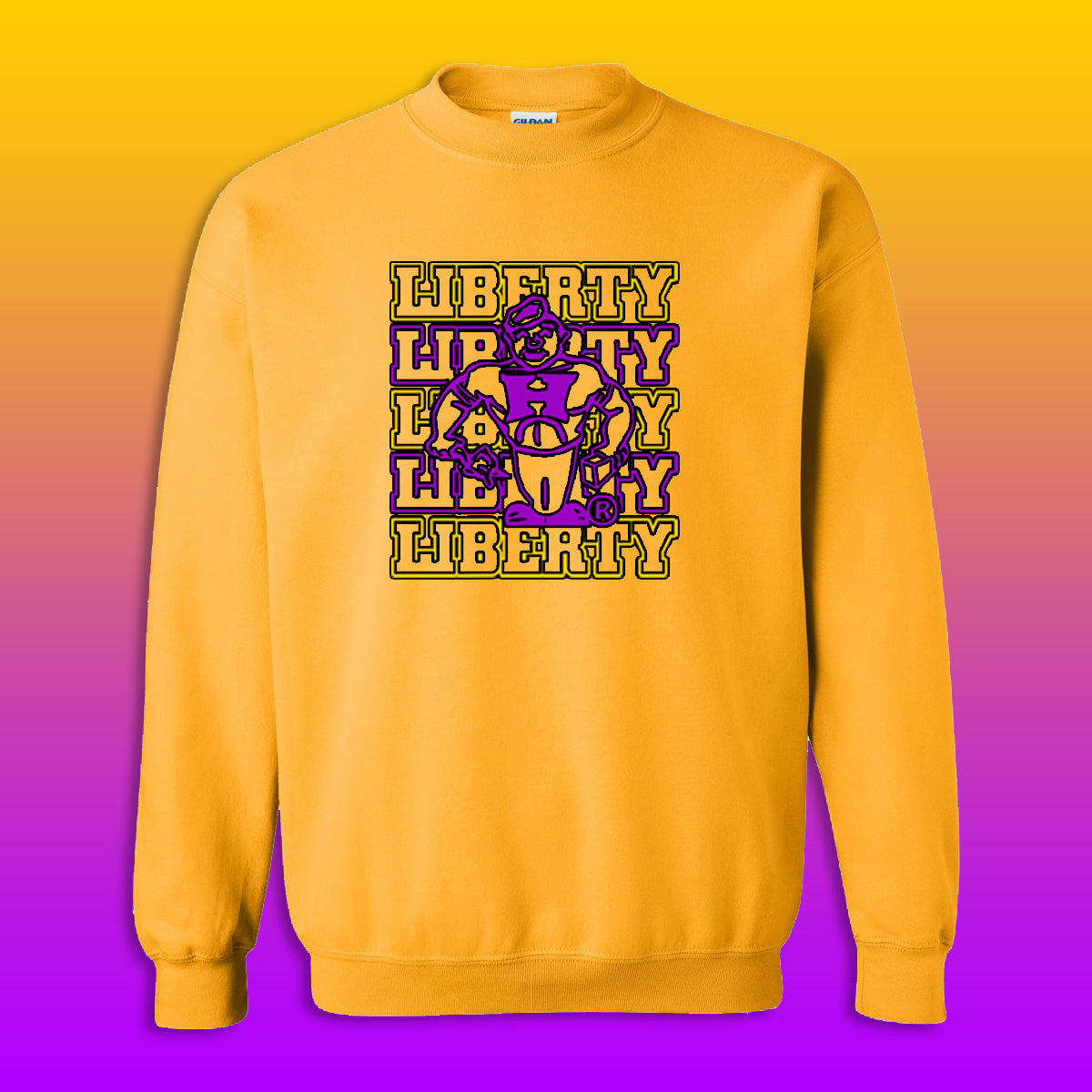 Youth/Adult Liberty Elementary Sweatshirt (Design #5)