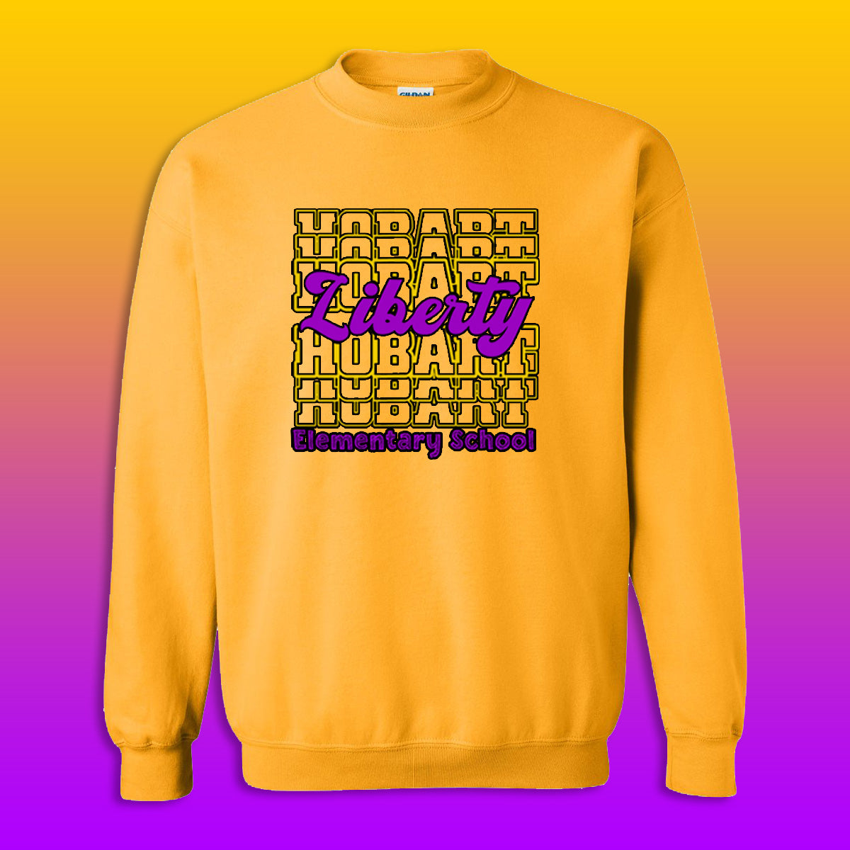 Youth/Adult Liberty Elementary Sweatshirt (Design #1)