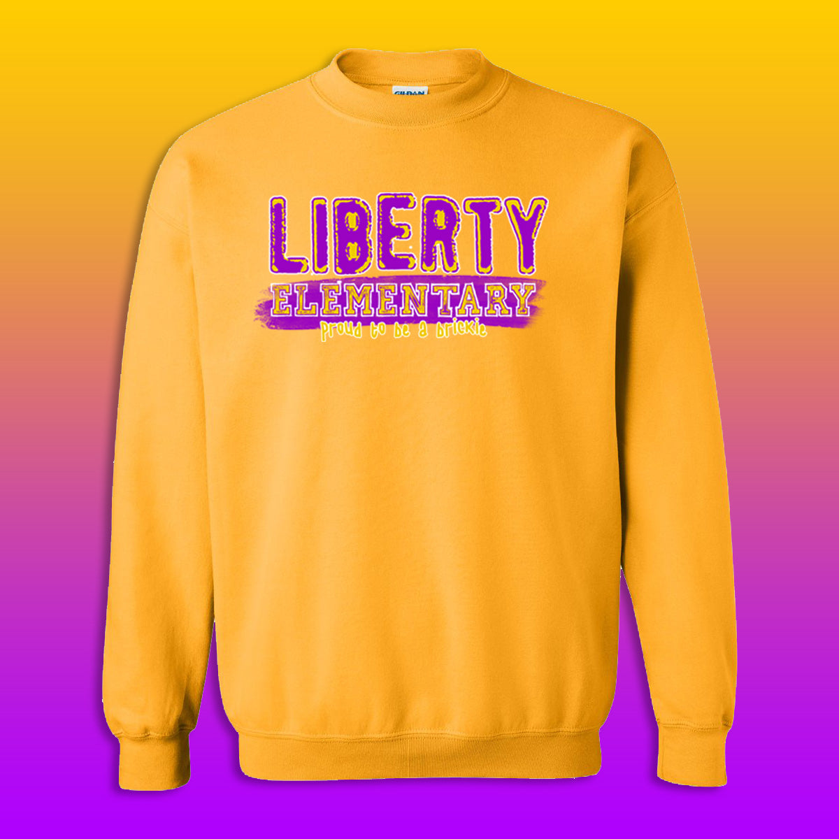 Youth/Adult Liberty Elementary Sweatshirt (Design #3)